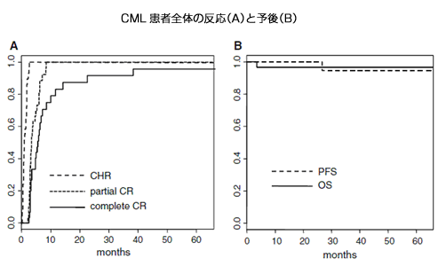 CML患者全体の反応（A）と予後（B）