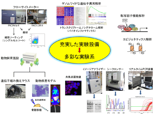 研究体制